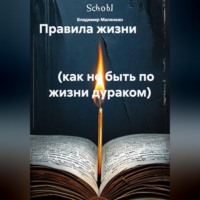 Владимир Юрьевич Малянкин. Правила жизни                                                                                                 (как не быть по жизни дураком)