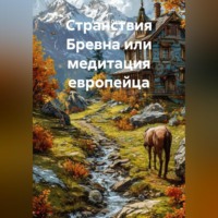 Андрей Ларин. Странствия Бревна или медитация европейца