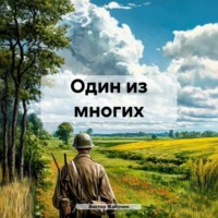 Виктор Жабунин. Один из многих