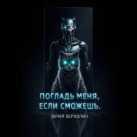 Юрий Верхолин. Погладь меня, если сможешь