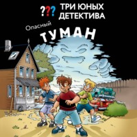 . Три юных детектива. Опасный туман