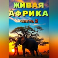 Наталья Баркар. «Живая Африка». Часть 2