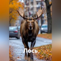 . Лось