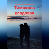 Валерий Бронников. Тимохина кладовая