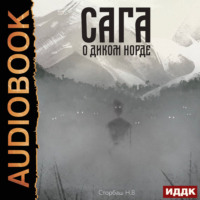 Наталья Бутырская. Сага о Кае Эрлингссоне. Книга 4. Сага о диком норде