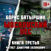 Борис Батыршин. Московский Лес. Забытые в небе