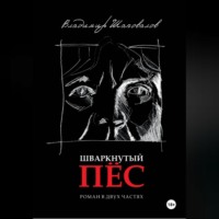 Владимир Шаповалов. ШВАРКНУТЫЙ ПЁС
