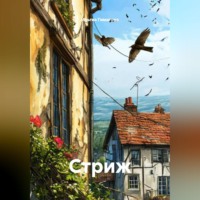 . Стриж