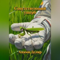 Анами Делир. Хроника Бесконечного Космоса: Сопутствующий ущерб