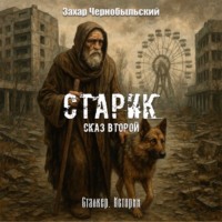 . Сталкер. Истории. Старик. Сказ второй