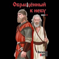 Василий Ворон. Обращённый к небу. Книги 2 и 3