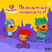 Коллектив авторов. Три кота. Приключения начинаются!