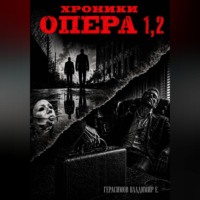 Владимир Евгеньевич Герасимов. Хроники опера. Сборник