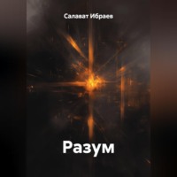 Салават Ибраев. Разум