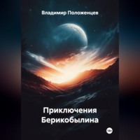 Владимир Николаевич Положенцев. Приключения Берикобылина