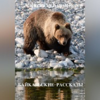 Александр Александрович Бурмейстер. Байкальские рассказы