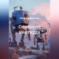 Пётр Фарфудинов. Сигнал из ниоткуда
