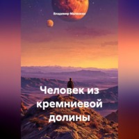 Владимир Юрьевич Малянкин. Человек из кремниевой долины