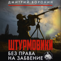 Дмитрий «Юрист» Воронин. Штурмовики. Без права на забвение