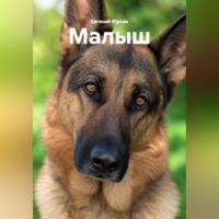 Евгений Юрьев. Малыш