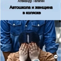 Александр Александрович Телегин. Автошкола и женщина в инвалидном кресле