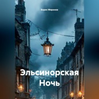 Борис Миронов. Эльсинорская Ночь