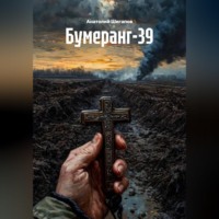 Анатолий Шигапов. Бумеранг-39