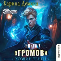 Карина Демина. Громов: Хозяин теней – 7