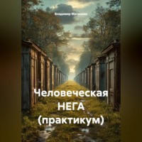 Владимир Юрьевич Малянкин. Человеческая НЕГА (практикум)