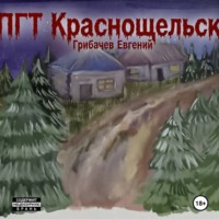 Евгений Грибачев. ПГТ Краснощельск