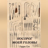 Гарри Гук. Носорог моей головы