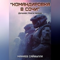 . Командировка в Сочи