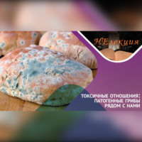 . ТОКСИЧНЫЕ ОТНОШЕНИЯ… с грибами