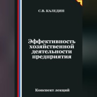 Сергей Каледин. Эффективность хозяйственной деятельности предприятия