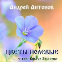 . Цветы полевые