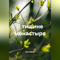 Нил Плёсов. В тишине монастыря