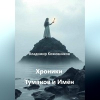 Владимир Кожевников. Хроники Туманов и Имён