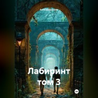 Анна Сергеевна Шайдурова. Лабиринт том 3