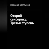 Ярослав Сергеевич Шелгунов. Открой сенсорику. Третья ступень