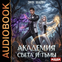 Энн Шайн. Академия света и тьмы
