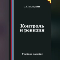 Сергей Каледин. Контроль и ревизия