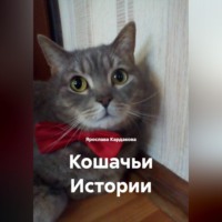 Ярослава Андреевна Кардакова. Кошачьи Истории