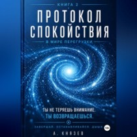 Александр Князев. Протокол спокойствия в мире перегрузки