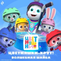 Анна Шелегина. Цветняшки-Крут. Волшебная шайба