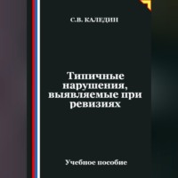 Сергей Каледин. Типичные нарушения, выявляемые при ревизиях