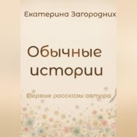 Екатерина Загородних. Обычные истории