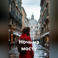 Вероника Владимировна Палабугина. Ночь на мосту