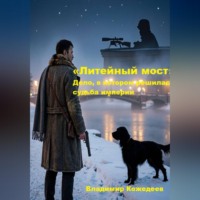 Владимир Кожедеев. «Литейный мост» Дело, в котором решилась судьба империи.