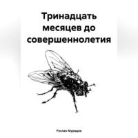 Руслан Мурадов. Тринадцать месяцев до совершеннолетия
