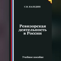 Сергей Каледин. Ревизорская деятельность в России